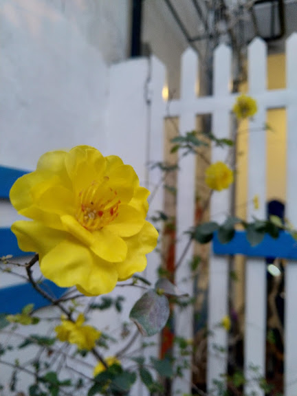Homestay Đà Nẵng